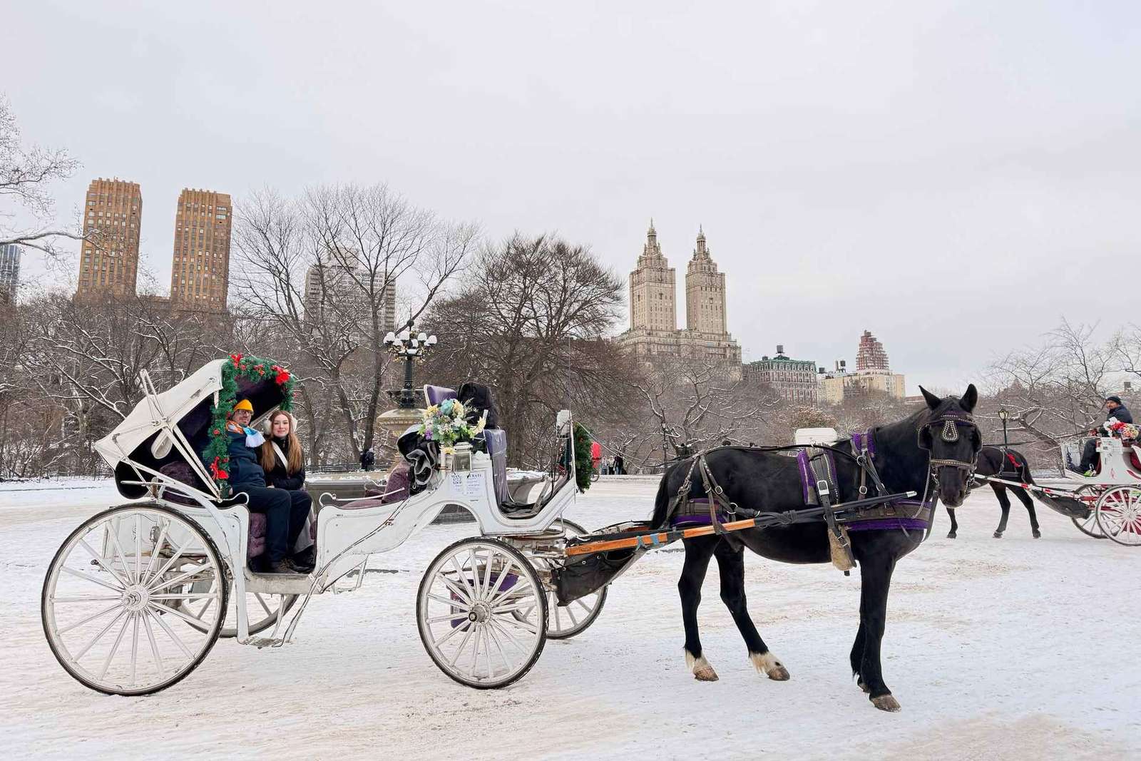 NYC: Amazing Central Park Horse and Carriage Ride with Guide