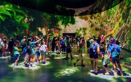 New York City: American Museum of Natural History Ticket