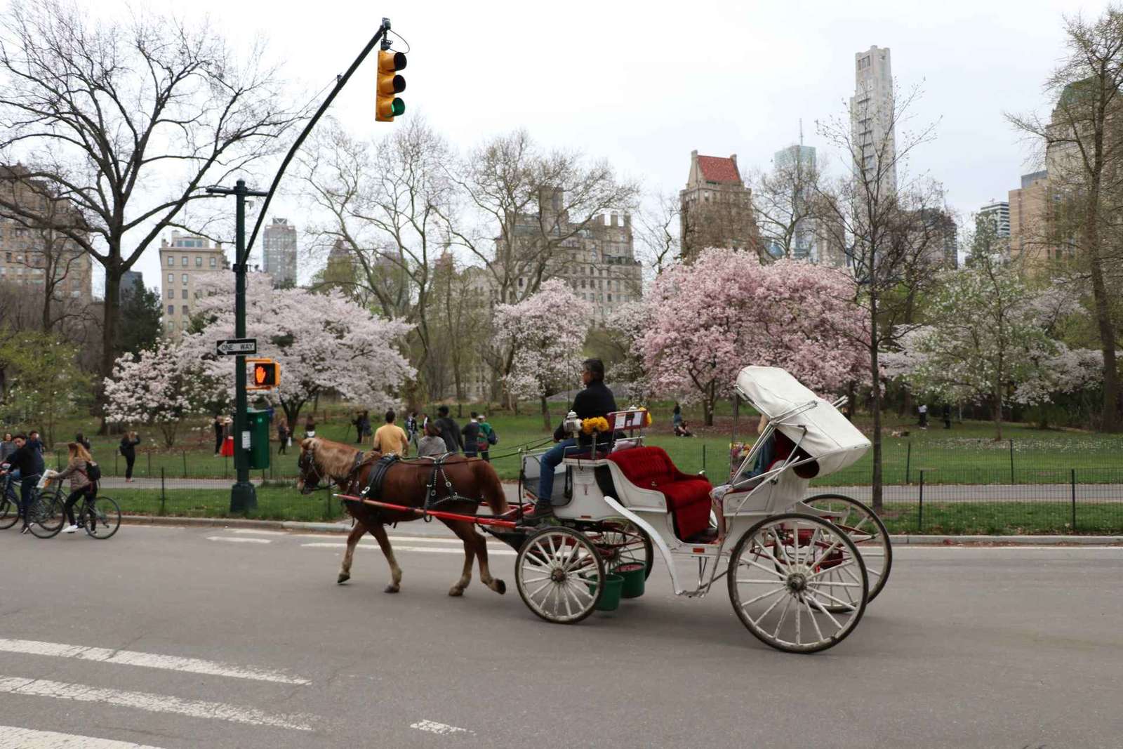 New York City: Jízda koňským povozem přes Central Park