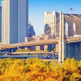 NYC: Fall Foliage Cruise with Live Guide