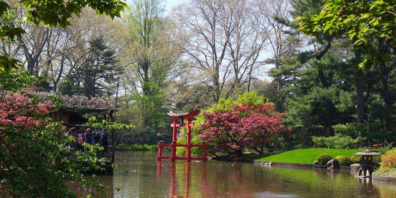 Brooklyn Botanic Garden