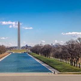 From NYC: Washington Highlights Guided 15 Hour Tour