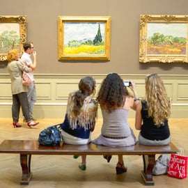 New York City: The Met Museum Guided Tour with Skip-the-Line