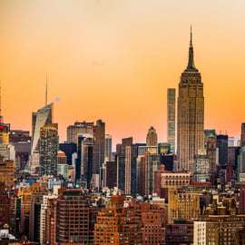 NYC Private Walking Tour with Professional Guide