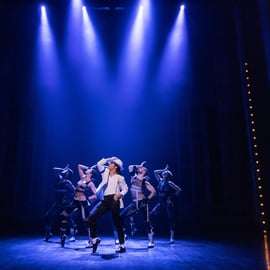 New York: MJ de Musical Broadway Tickets