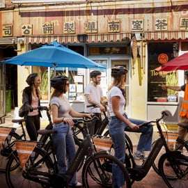 Downtown Bike Tour with Stylish Dutch Bikes!
