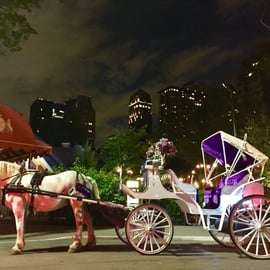 New York: Jízda kočárem v Central Parku