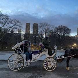 NYC: Amazing Central Park Horse and Carriage Ride with Guide