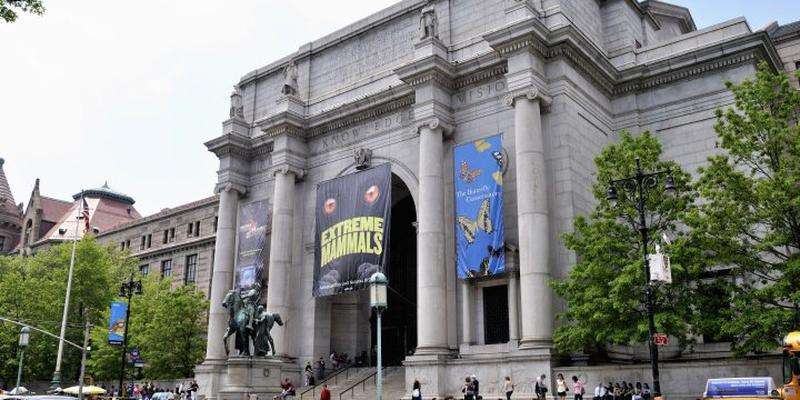 American Museum of Natural History