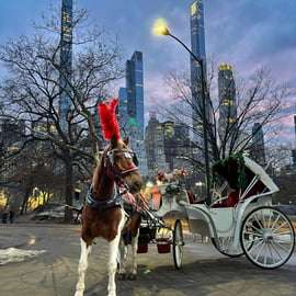 NYC: Official Guided Central Park Horse Carriage Ride