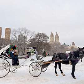 NYC: Amazing Central Park Horse and Carriage Ride with Guide