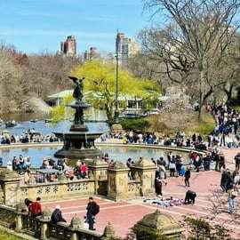 NYC: Central Park Pedicab Tour / Photo Stops