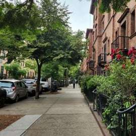 NYC: Harlem Guided Walking Tour