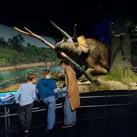 New York City: American Museum of Natural History Ticket