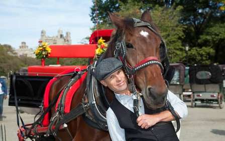 Central Park: Short Horse Carriage Ride (Up to 4 Adults)