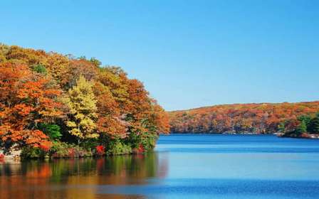 Circle Line NYC: Fall Foliage and Oktoberfest Cruise