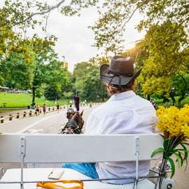 NYC: Guided Central Park Horse Carriage Ride