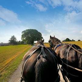 From NYC: Day Trip to Philadelphia and Amish Country