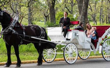Passeggiata guidata a Central Park e NYC in carrozza a cavallo