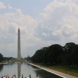 From NYC: Guided Day Trip to Washington DC by Van or Bus