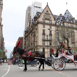 New York City: Jízda koňským povozem přes Central Park
