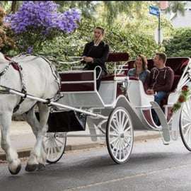 NYC: Private Central Park Horse Carriage Ride with Guide