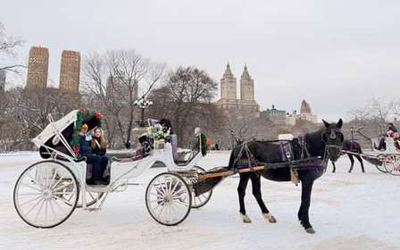 NYC: Amazing Central Park Horse and Carriage Ride with Guide