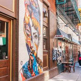 NYC: Culture and Flavor of the Lower East Side Foodie Tour