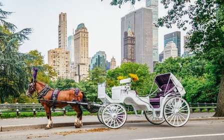 NYC: Guided Central Park Horse Carriage Ride