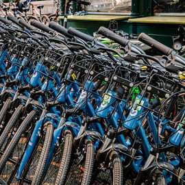 NYC: Central Park Bike Rental