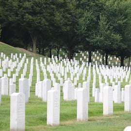 From NYC: Guided Day Trip to Washington DC by Van or Bus