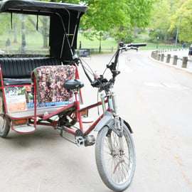 Central Park : visite guidée en vélo-taxi avec arrêts photo