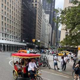 Central Park : visite guidée en vélo-taxi avec arrêts photo