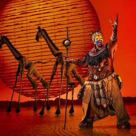 New York: The Lion King Broadway Toegangsbewijzen