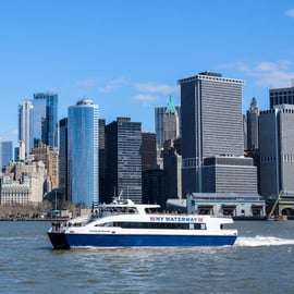 NYC: snelle rondvaart Vrijheidsbeeld (50 min)