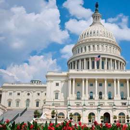 From NYC: Guided Day Trip to Washington DC by Van or Bus