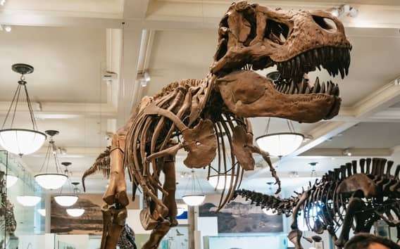 New York City: American Museum of Natural History Ticket