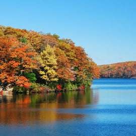 Circle Line NYC: Fall Foliage and Oktoberfest Cruise