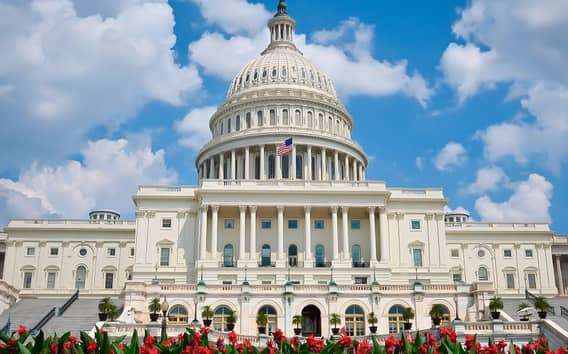 From NYC: Guided Day Trip to Washington DC by Van or Bus
