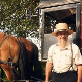From NYC: Day Trip to Philadelphia and Amish Country