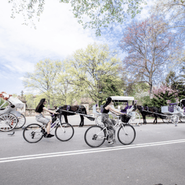 New York City: Central Park Bike, E-Bike & Scooter Rental