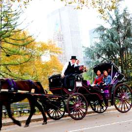 NYC: Paardenkoetsrit in Central Park (tot 4 volwassenen)