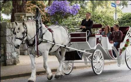 NYC: Private Central Park Horse Carriage Ride with Guide