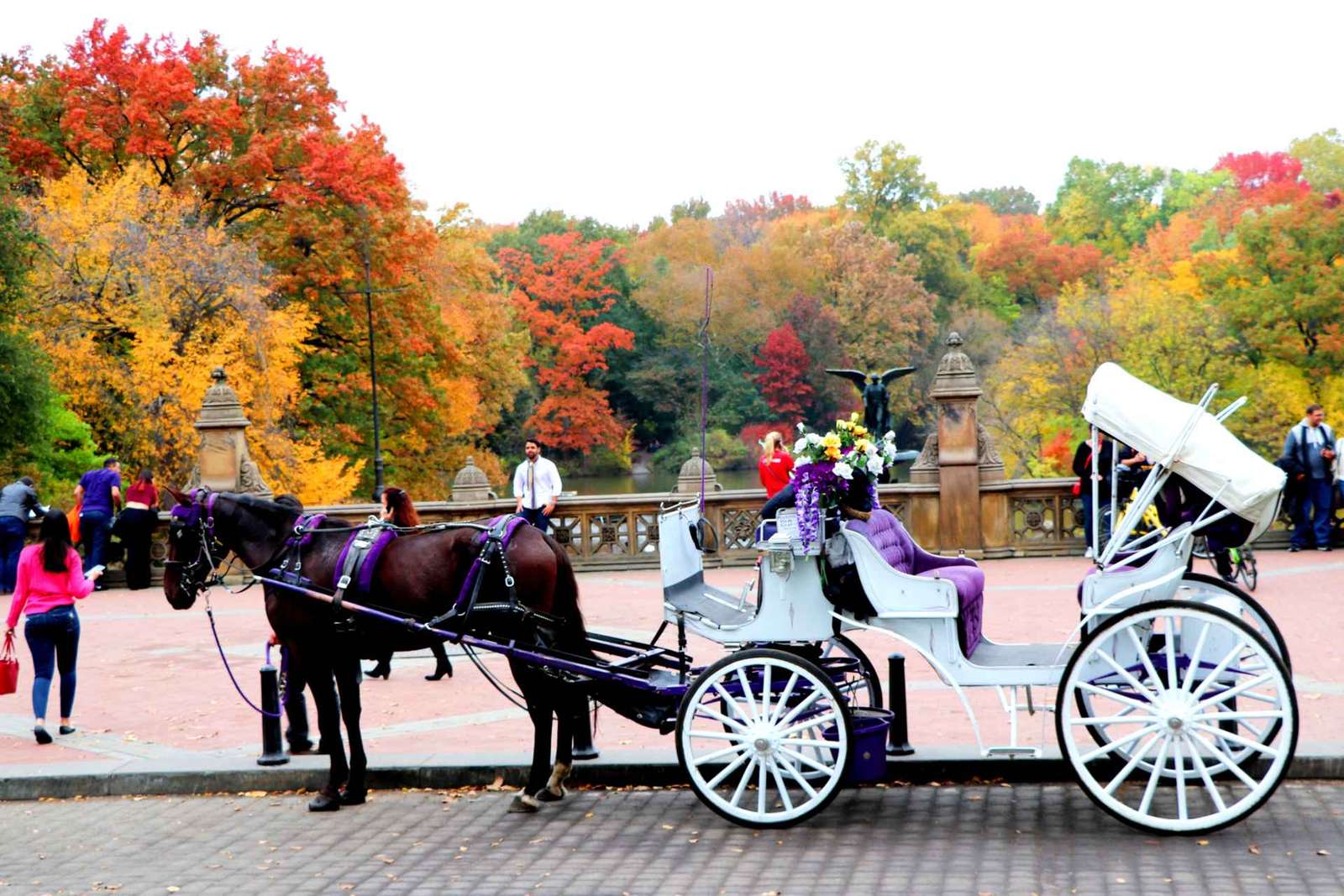 NYC: Paardenkoetsrit in Central Park (tot 4 volwassenen)